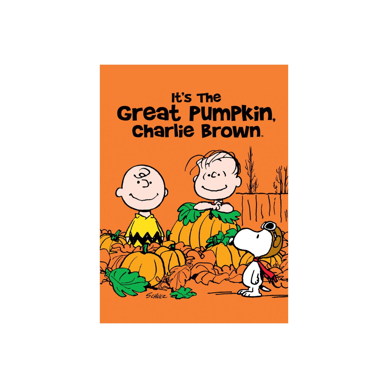 Peanuts – Collection des Fêtes du 70e anniversaire, édition limitée [Blu-ray + coffret numérique]