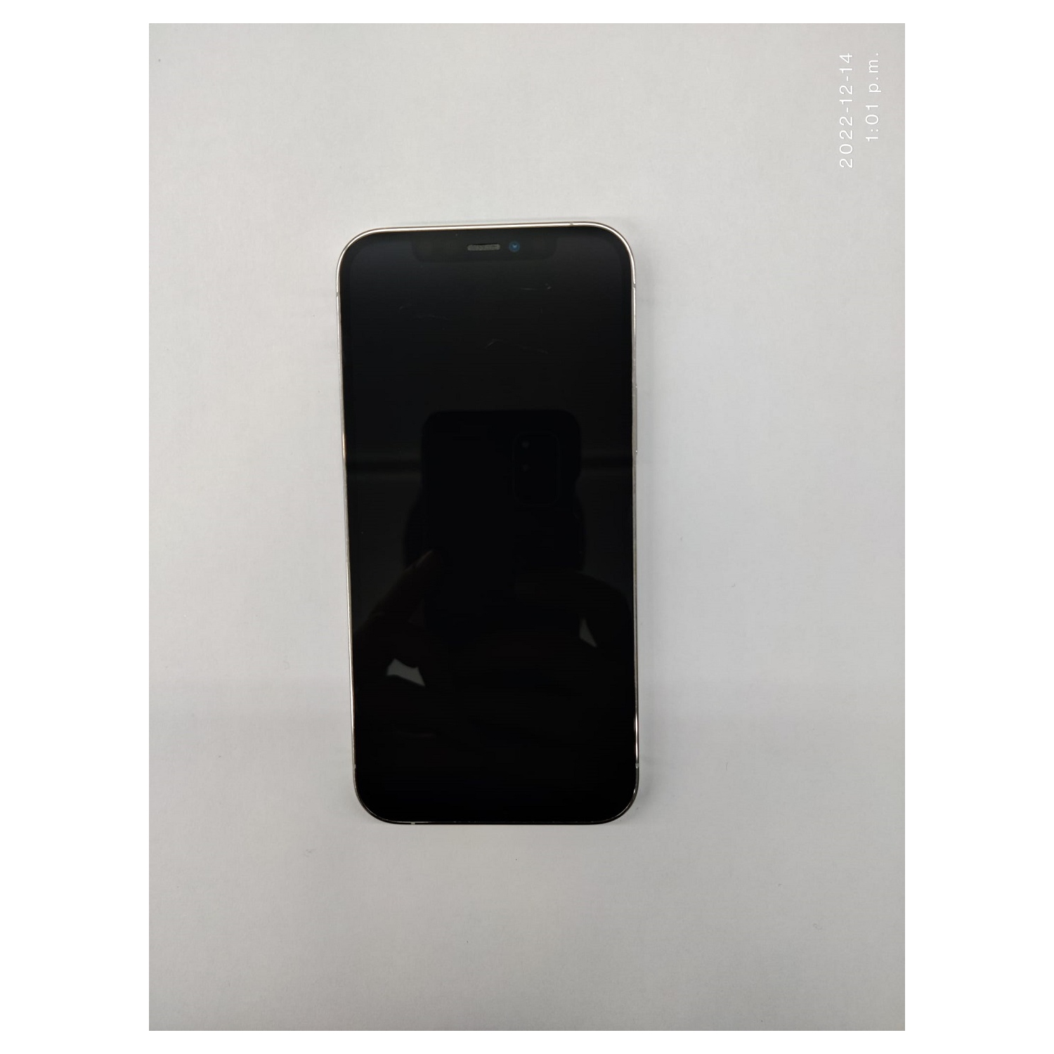 Remis à neuf - iPhone 12 Pro 256&nbsp;Go d'Apple - Graphite - Déverrouillé