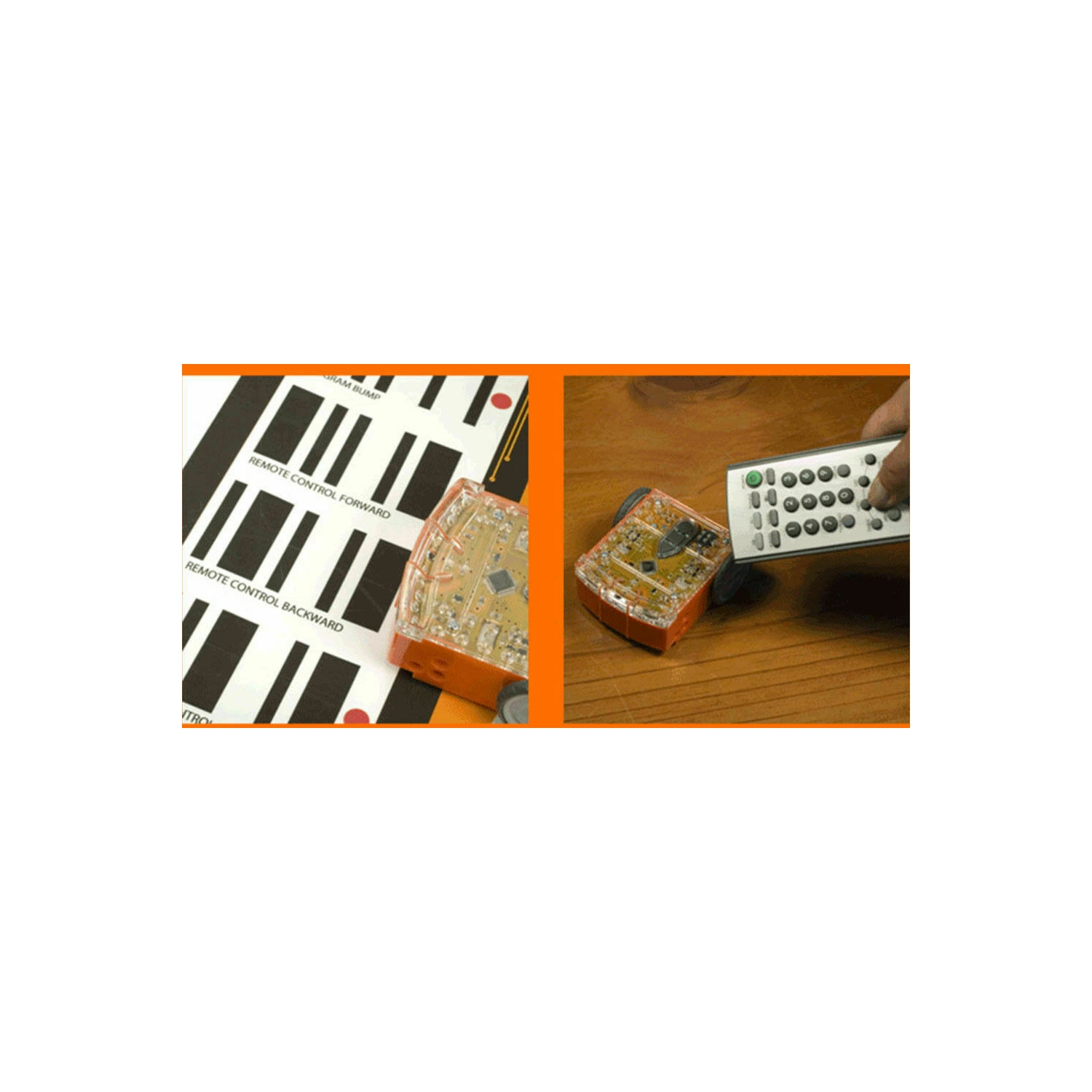 Contempo Views – Educational STEM Pack of 6 robots Edison programmables pour enfants, enseignants, étudiants et salles de classe – comprend les