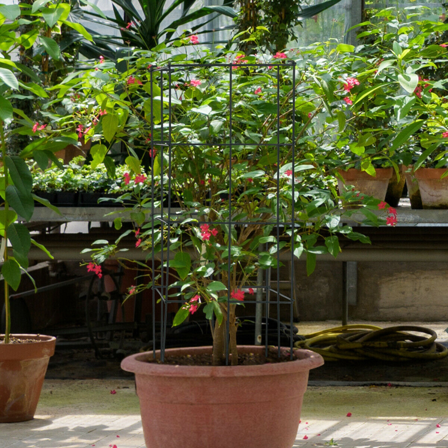 Gymax 4 Pack Tomato Cages Garden Cages Stakes Plant Trellis 16'' x 16'' x 39''