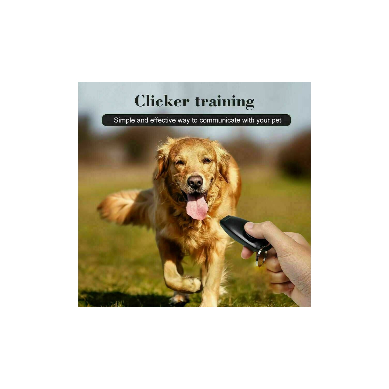 ISTAR 2 Pack Dog Clicker & Whistle, Dog Whistle clicker to Stop Braking, Training Whistle clicker Dog