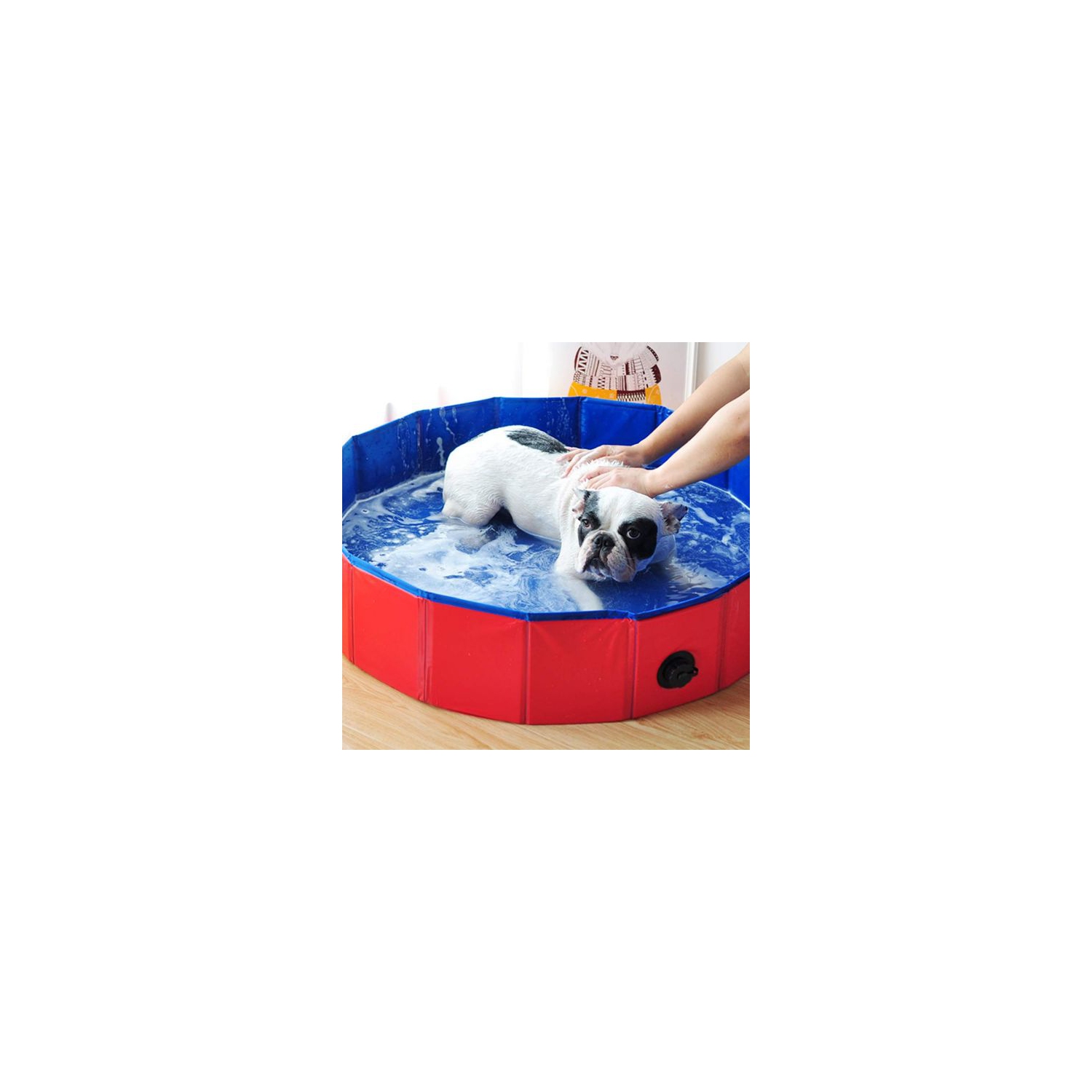 Bain de chien pliable 63" chien de bain chien de bain piscine de bain Kiddie piscine pour chiens chats et enfants L