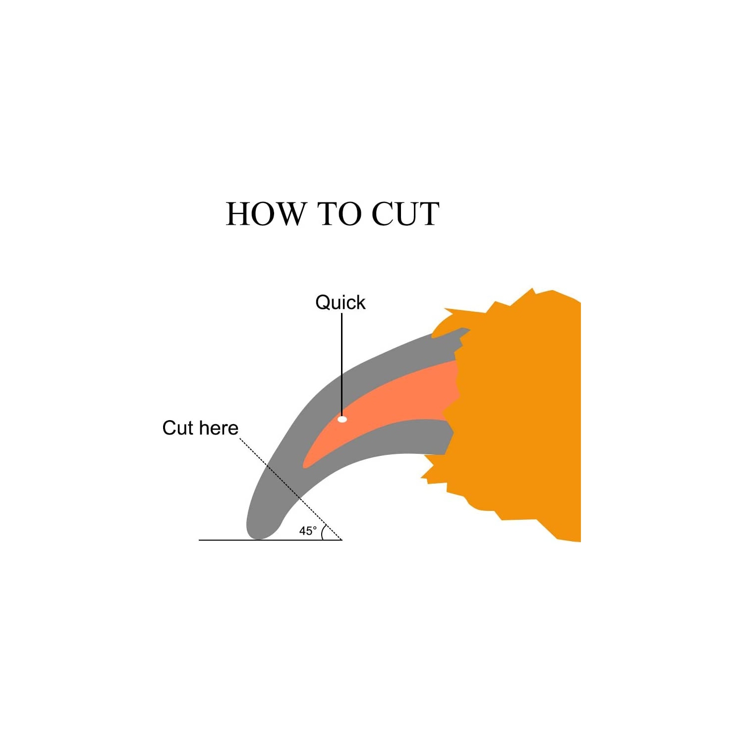 ISTAR Pet Nail Clippers Professional Dog Nail Trimmers Suitable for Large to Medium Dogs, Cats, Rabbits and Guinea Pigs - Safety Lock/Protective