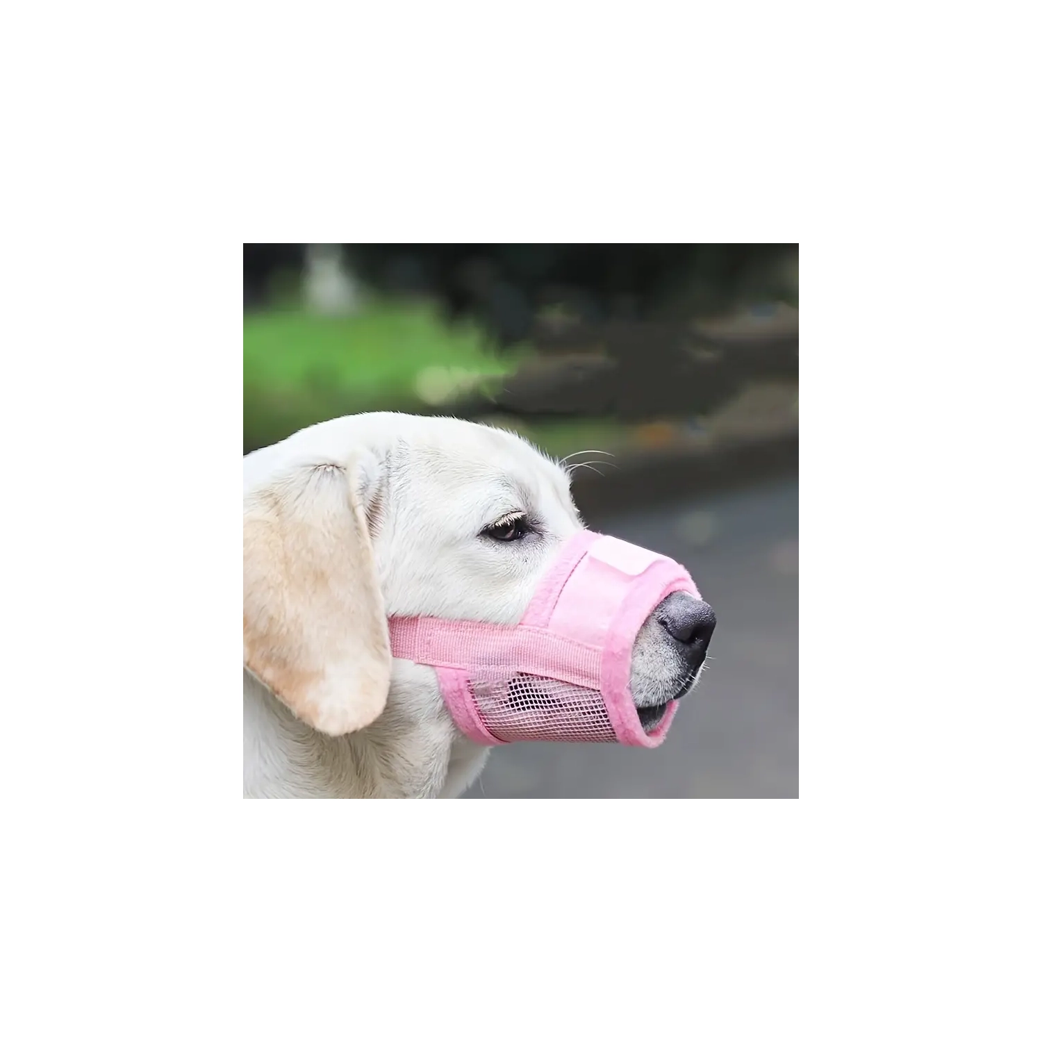 ISTAR 2 PACK Dog Mazal Anti Leaking Biting Probosis Mesh Mask, Long Nose, Nasal Mouth Cover