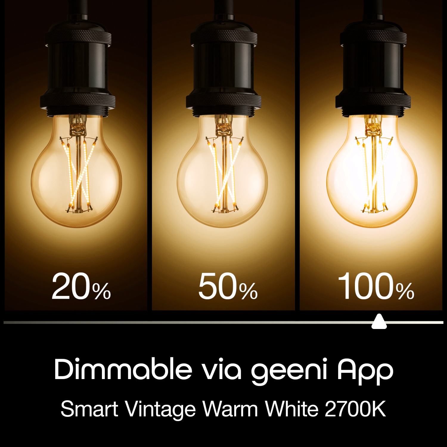 Geeni LUX EDISON 60W Equivalent White Dimmable A19 Smart LED Bulb