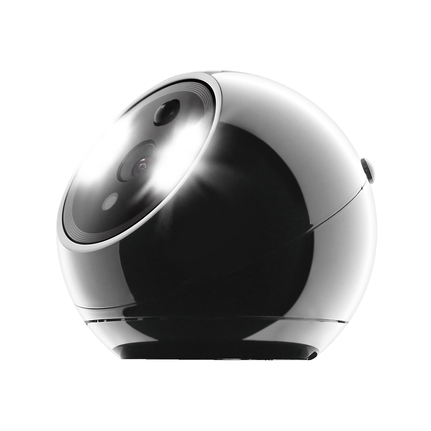 Amaryllo Biometric Security Camera