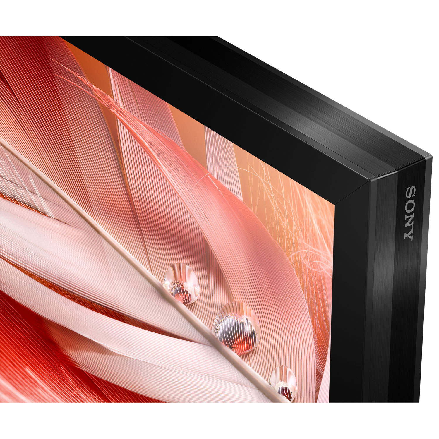 Sony BRAVIA XR 100