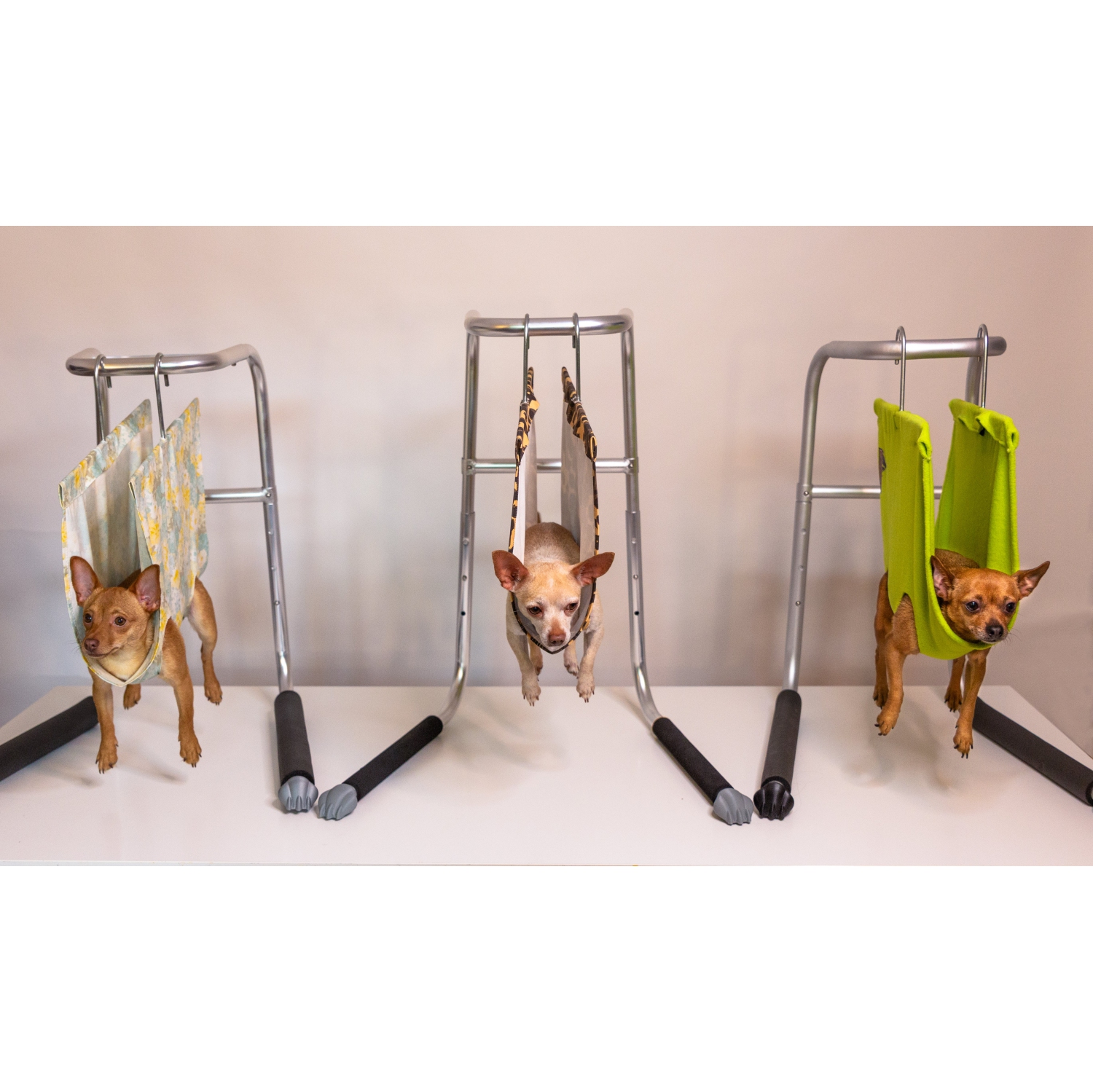 PetHold Hands-Free Grooming Stand- Gold