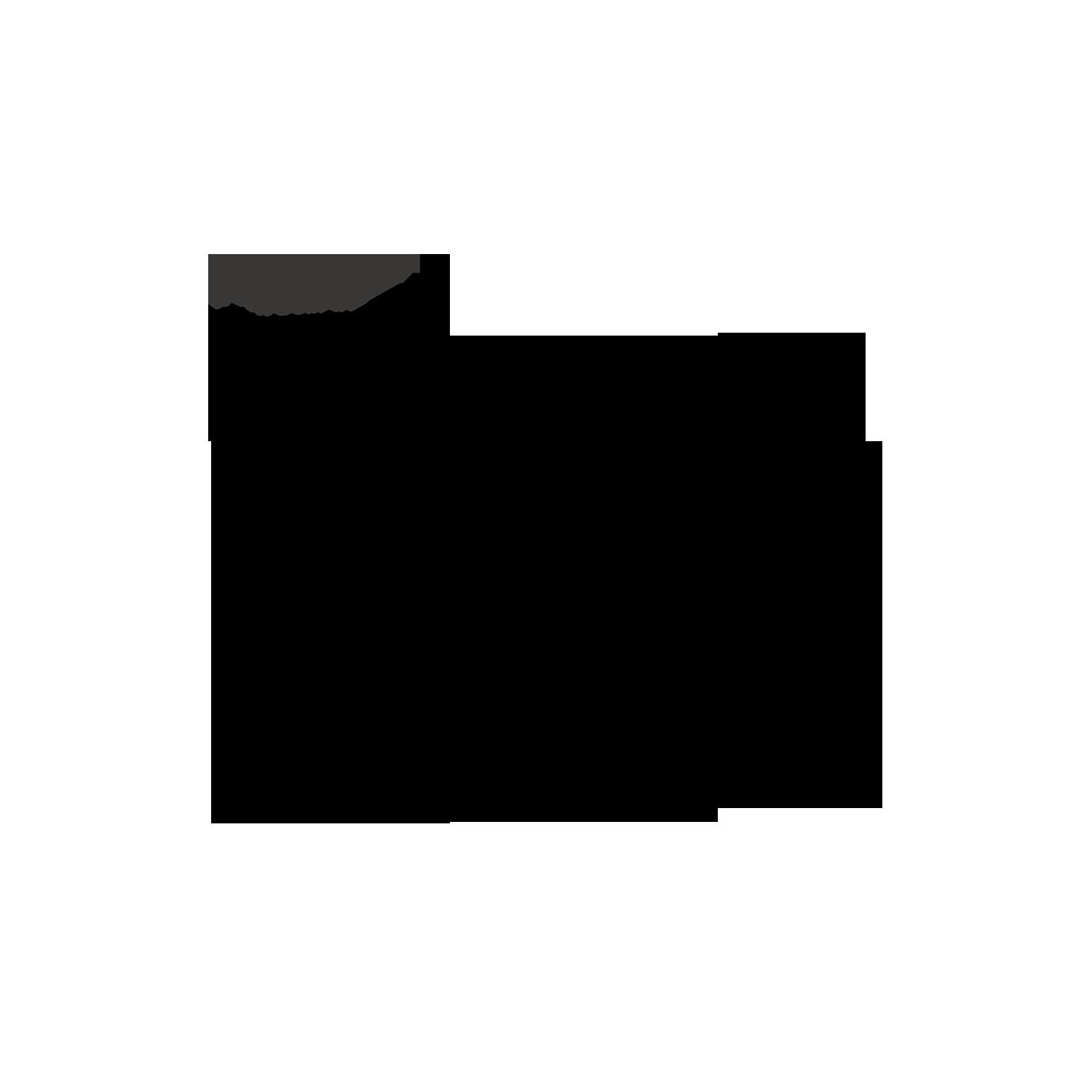 FOTILE 24" Steam Oven Built-In SCD42-C2T