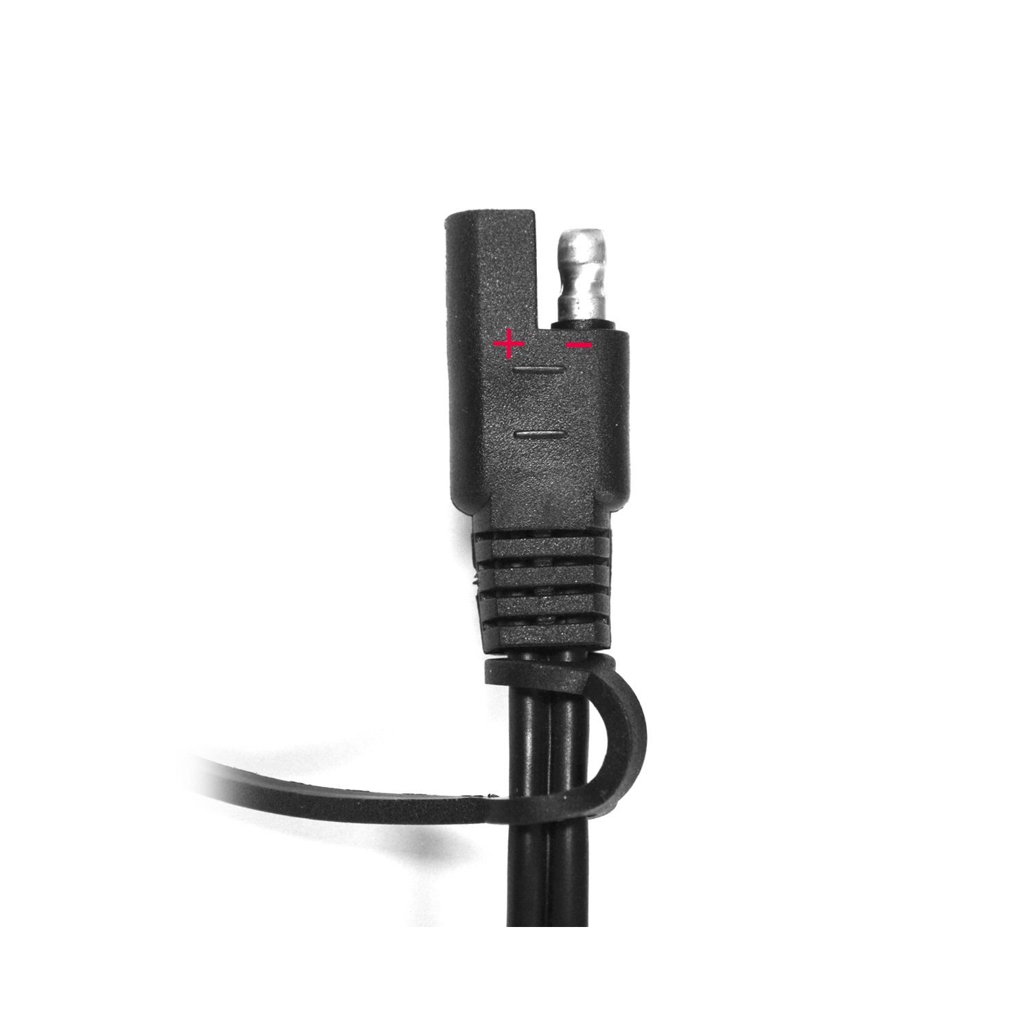 Câble de rallonge SAE 14AWG de 20 pi