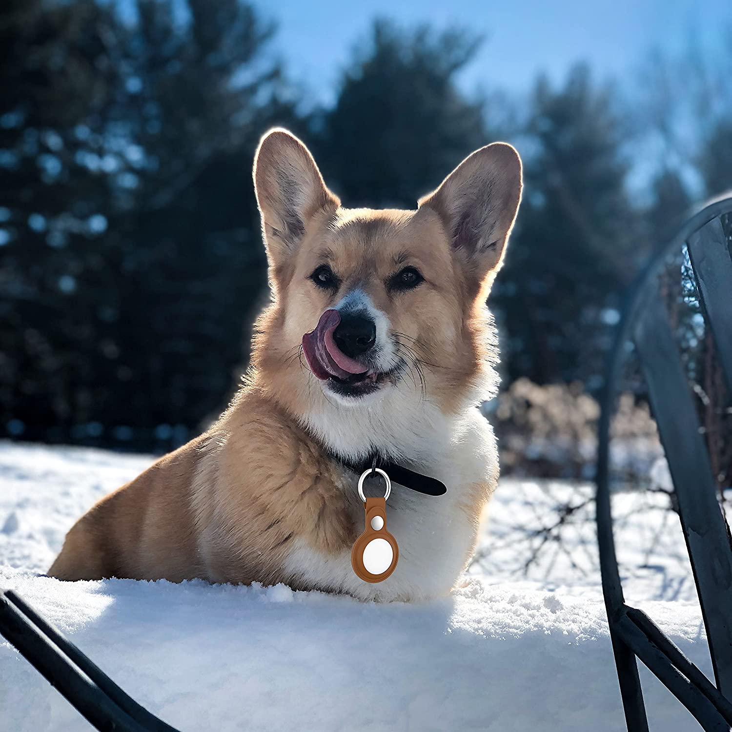 Porte-clés pour AirTag CORGIE