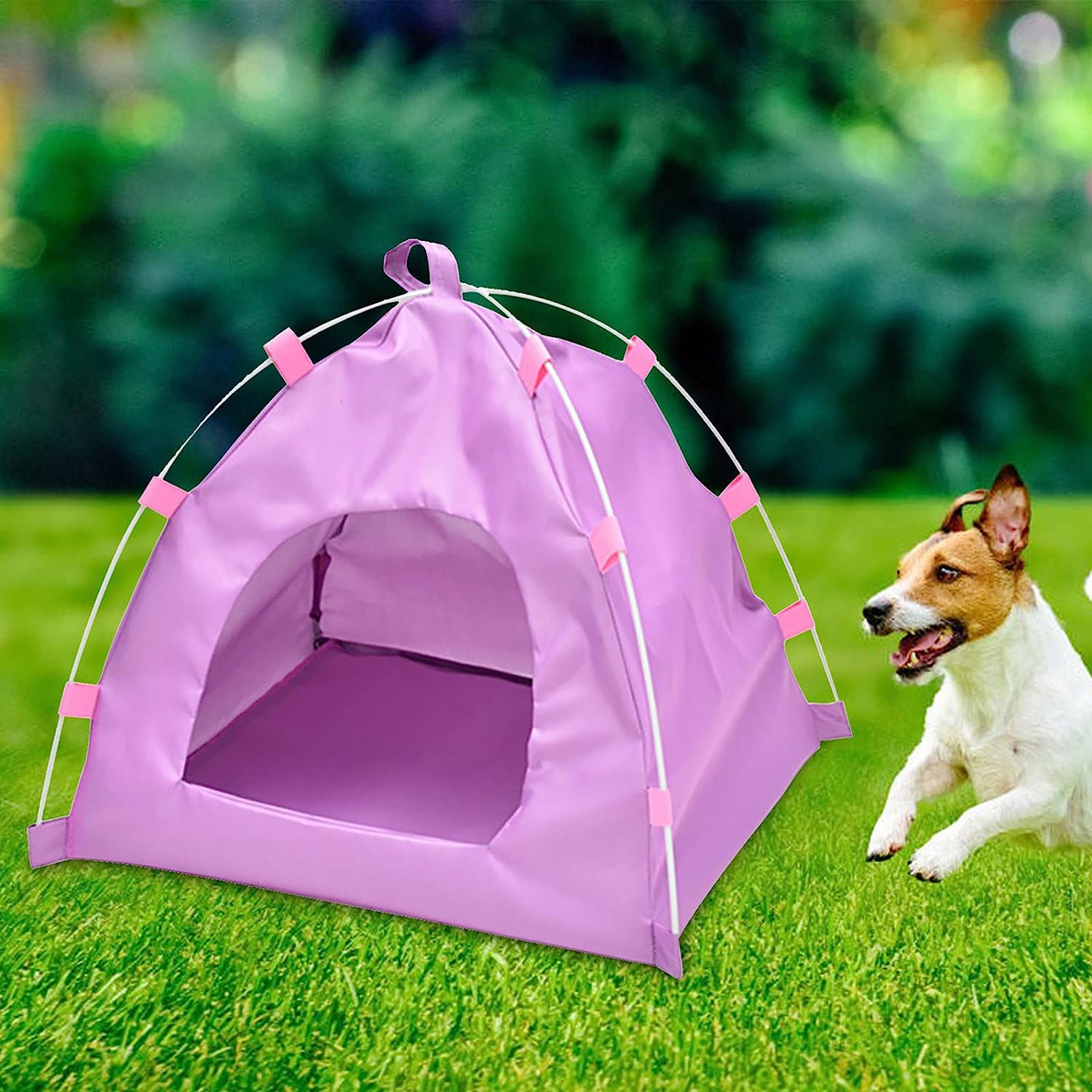 ISTAR Breathable Washable Pet Puppy Kennel Dog Cat Folding Indoor Outdoor House Bed Tent