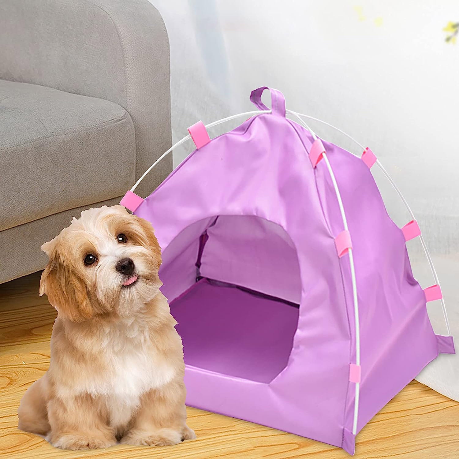 ISTAR Breathable Washable Pet Puppy Kennel Dog Cat Folding Indoor Outdoor House Bed Tent