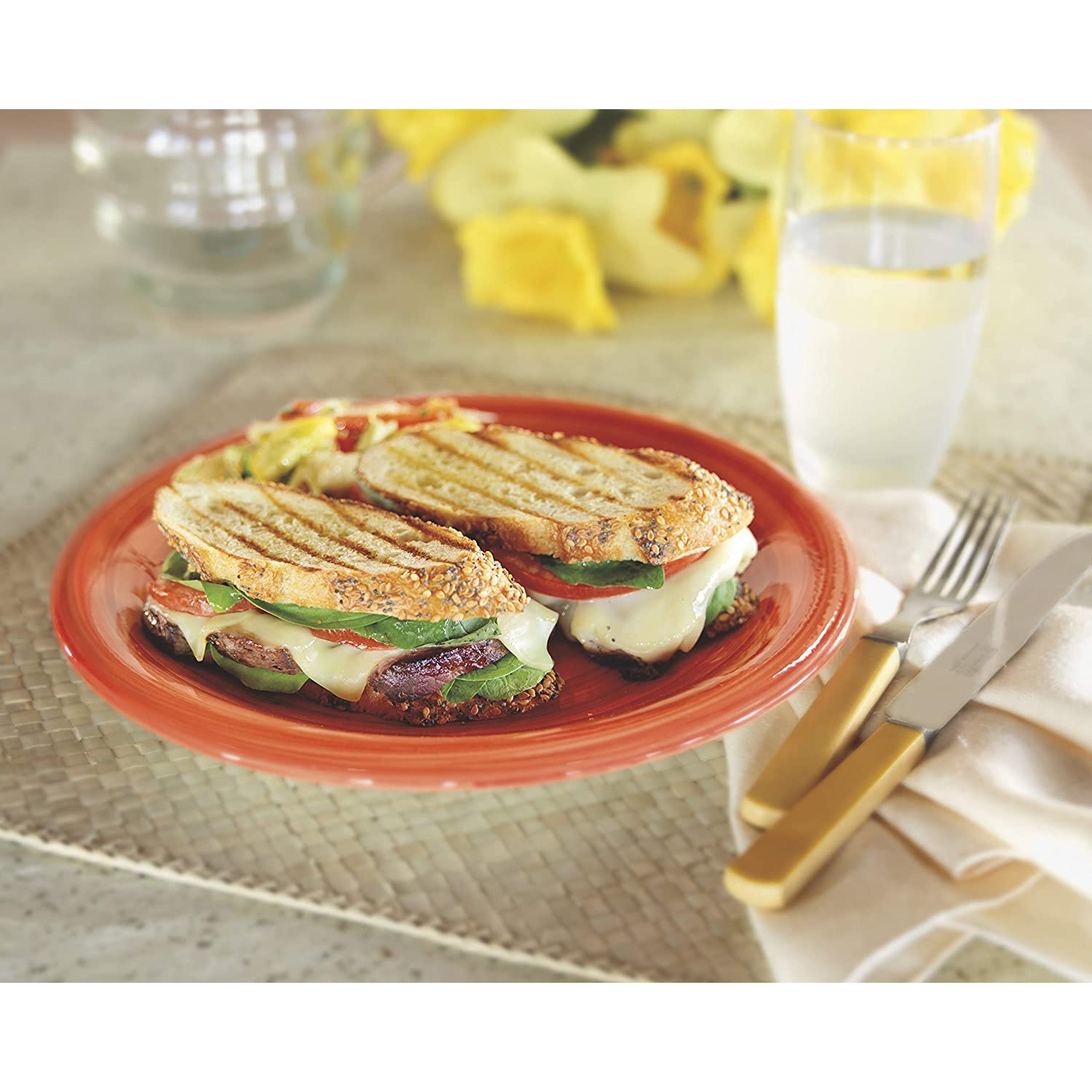 Panini Press & Indoor Grill