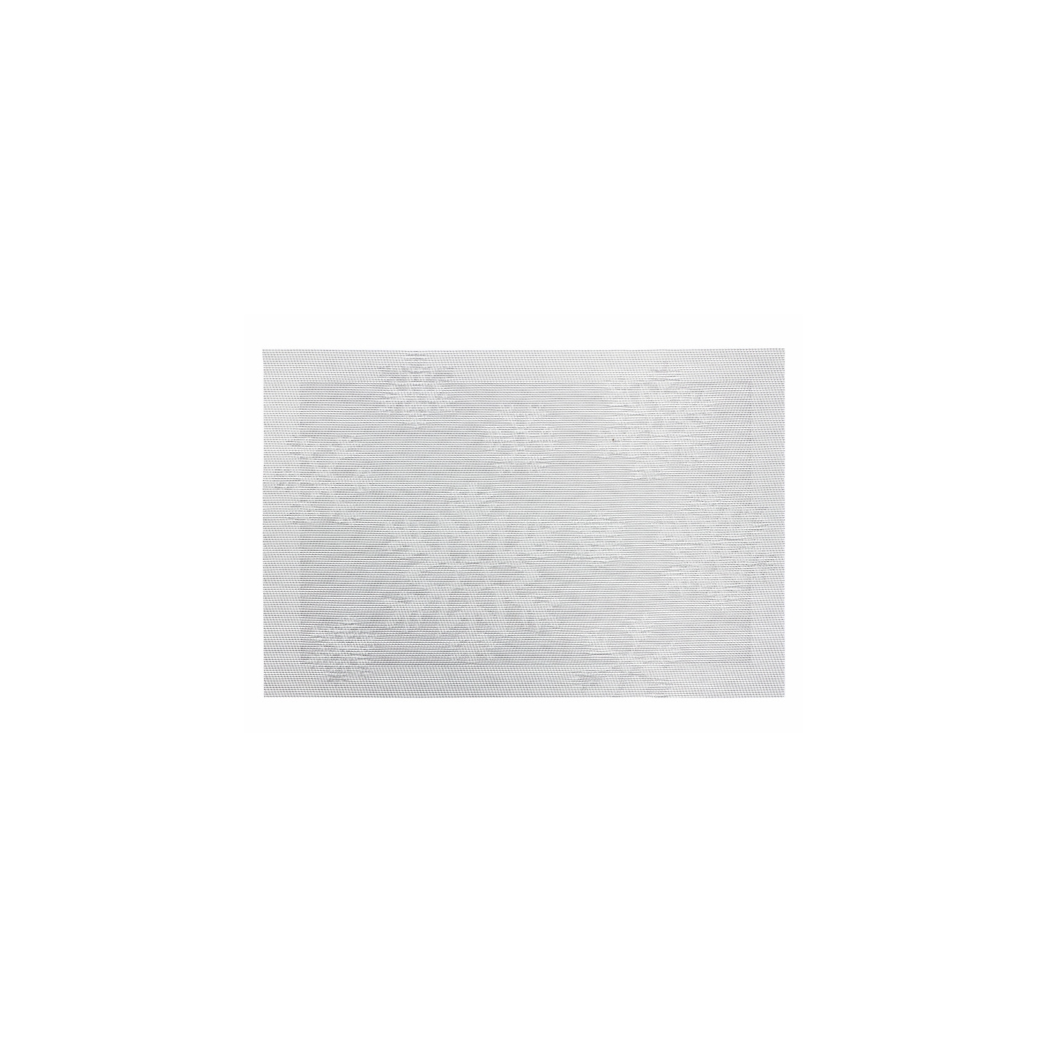 Vinyl Placemat (Silver) - Set of 12