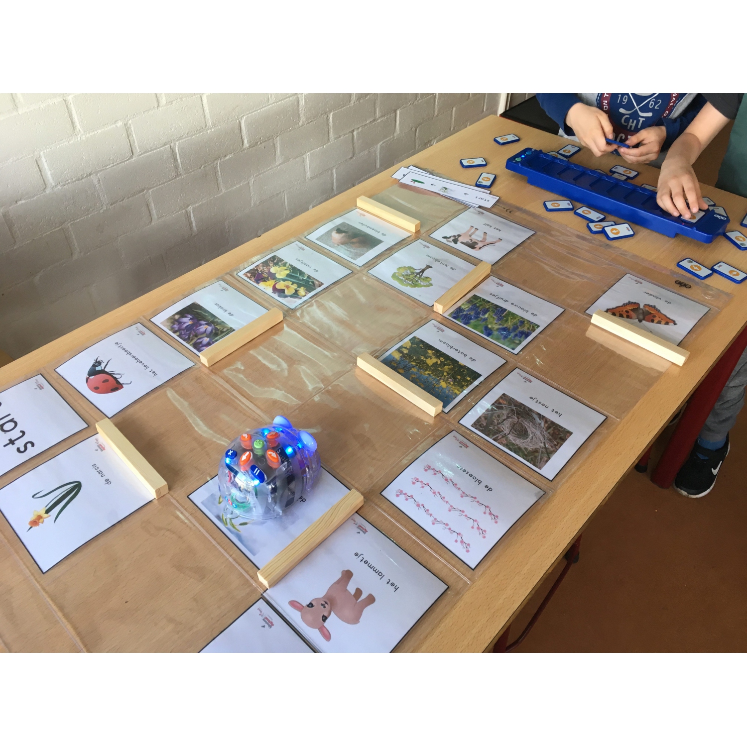 TTS Blue-Bot Floor Robots - TacTile Reader, Starter Pack