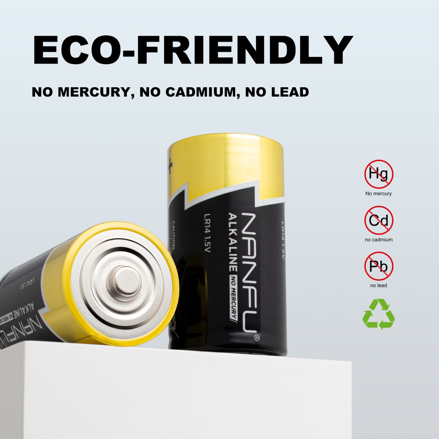 NANFU 12 Pack Alkaline C Cell Batteries for Household & Business