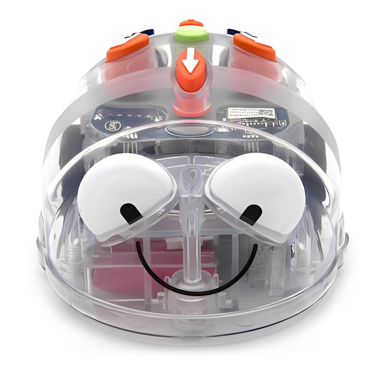 TTS Bee-Bot and Blue-Bot See and Say Educational Interactive Programmable Floor Robots Bundle, Teaching and Learning Coding Toys for Kids