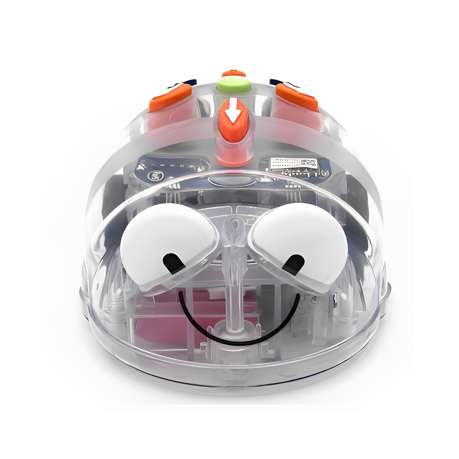 TTS Blue-Bot with Countryside Mat & Fairy Tale Mat Bundle, Educational Coding Robot and Playmats, Preschool Elementary Activity Play Mats and