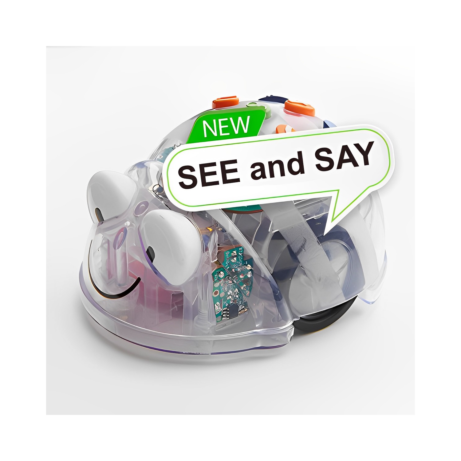 TTS Blue-Bot with Countryside Mat & Fairy Tale Mat Bundle, Educational Coding Robot and Playmats, Preschool Elementary Activity Play Mats and