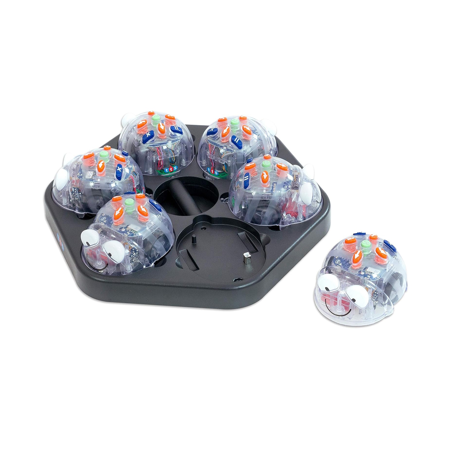 Blue-Bot Programmable Toy Robot Class Pack, New See & Say Version, Bluetooth Coding Robots for Kids 3 Years and up - 6-pcs Blue-Bots with FREE 1-pc