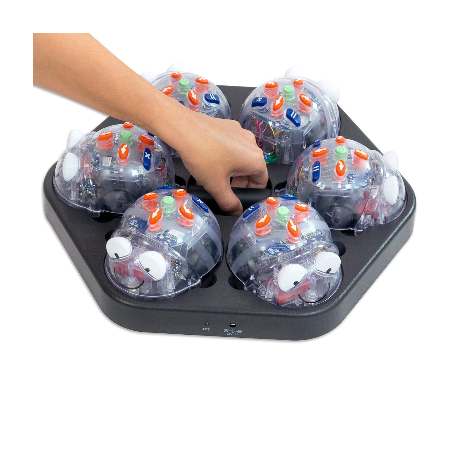 Blue-Bot Programmable Toy Robot Class Pack, New See & Say Version, Bluetooth Coding Robots for Kids 3 Years and up - 6-pcs Blue-Bots with FREE 1-pc