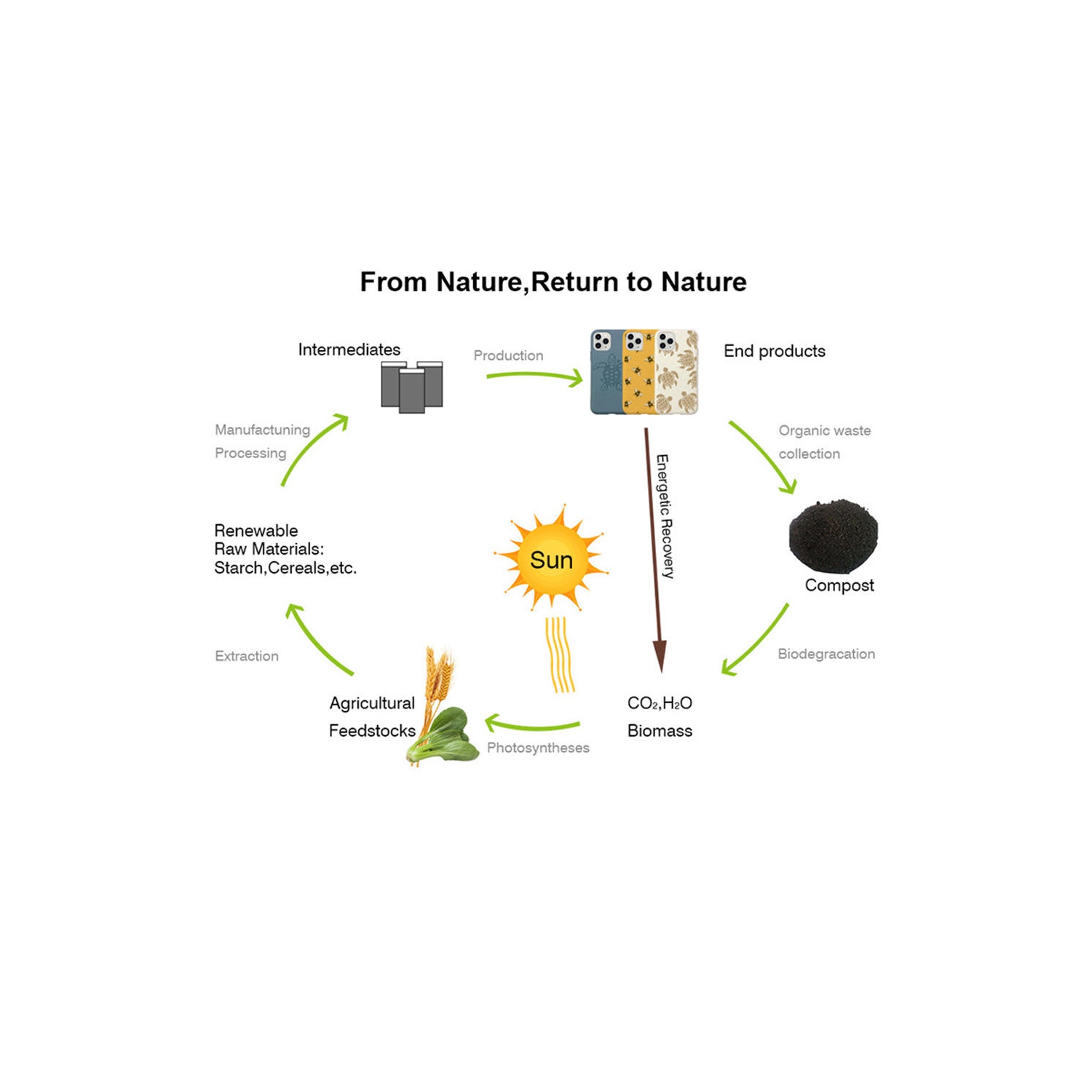 Shockproof Biodegradable Protective Mobile Phone Case For iphone12 Pro 6.1", black