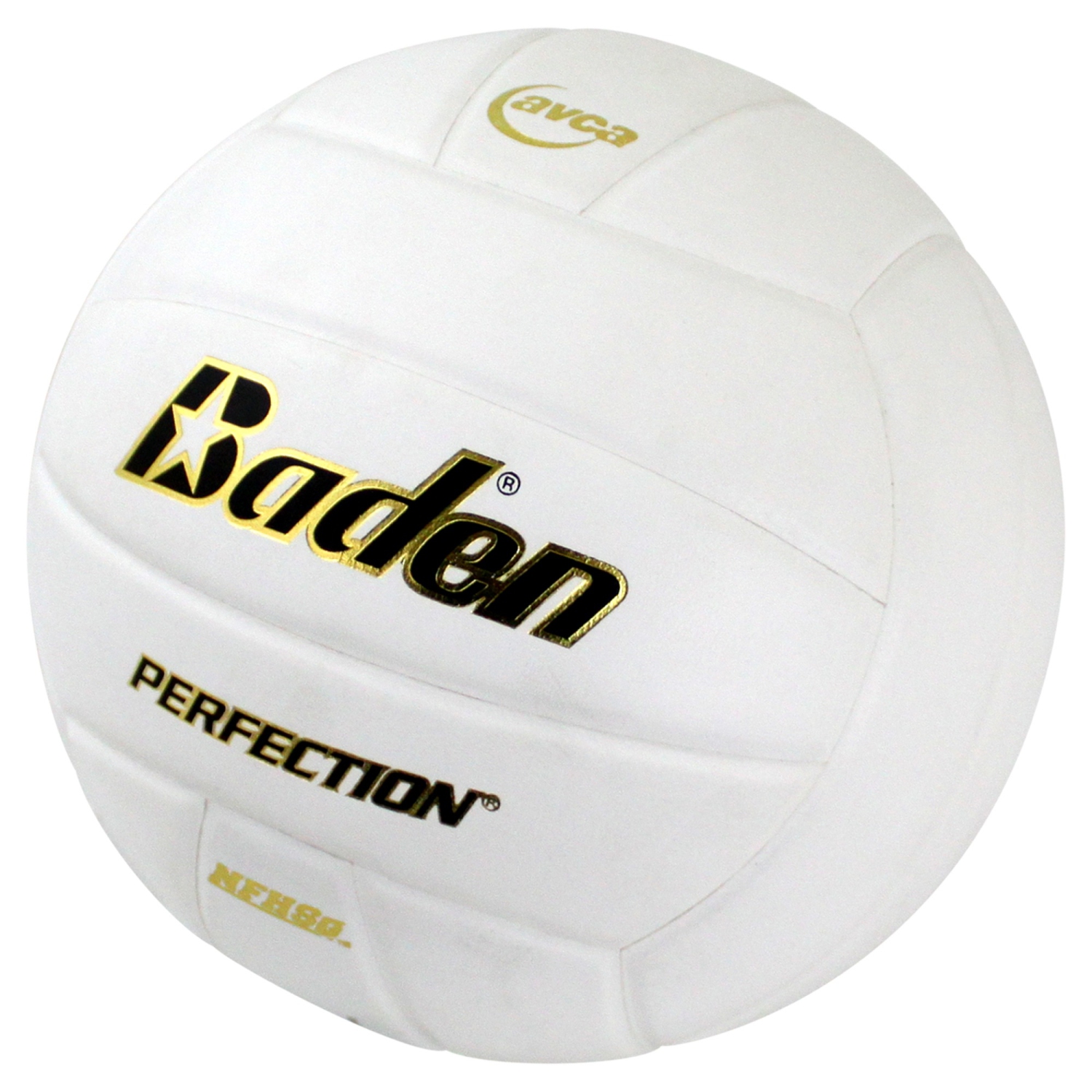 Baden PERFECTION Indoor Leather Volleyball - Official NFHS Approved Game Ball, White