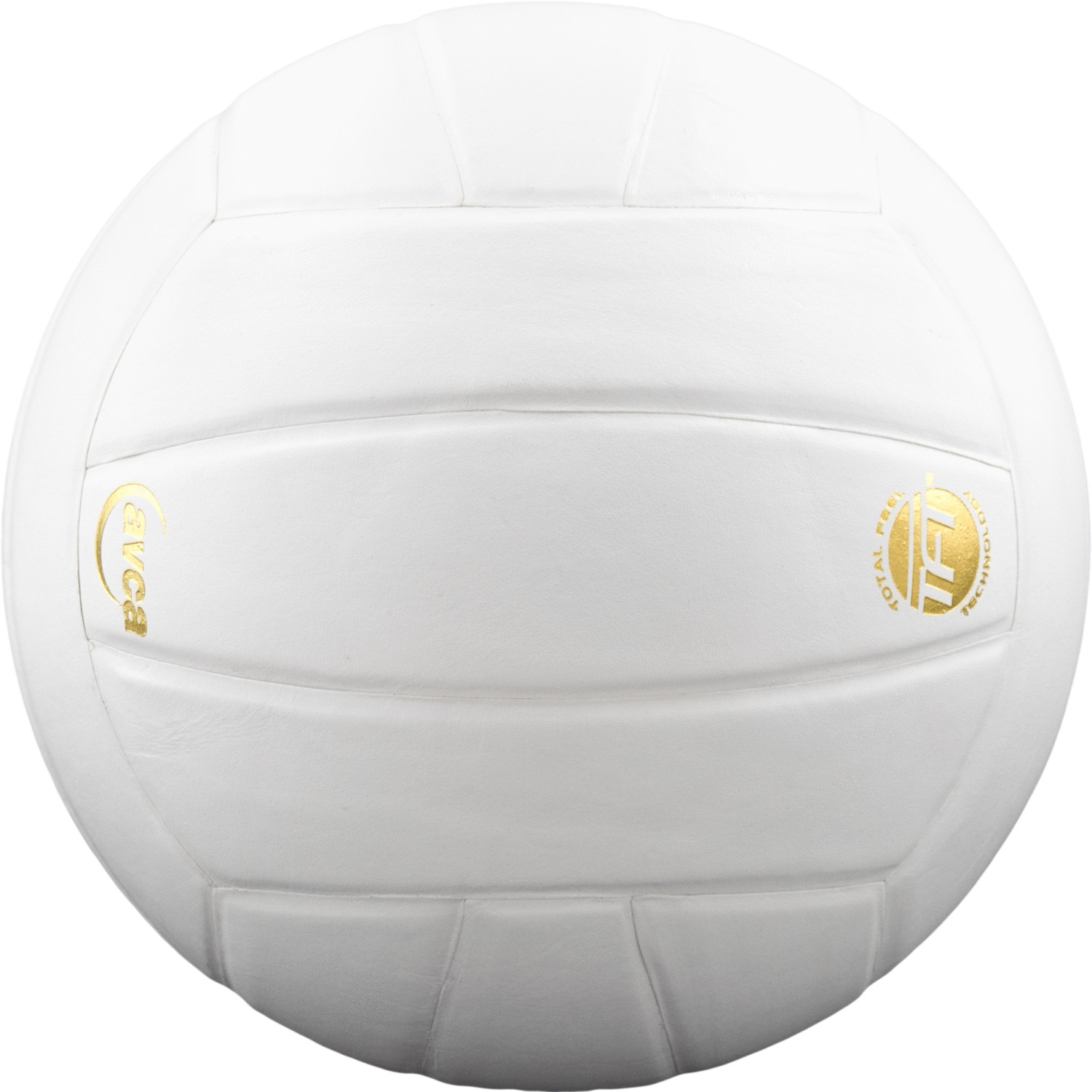 Baden PERFECTION Indoor Leather Volleyball - Official NFHS Approved Game Ball, White