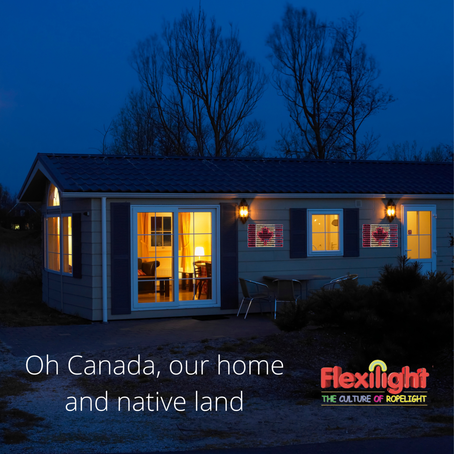 Flexilight Lighted Canadian Flag Patriotic Rope Light Motif 120V for Canada Day Remembrance Day Indoor Outdoor