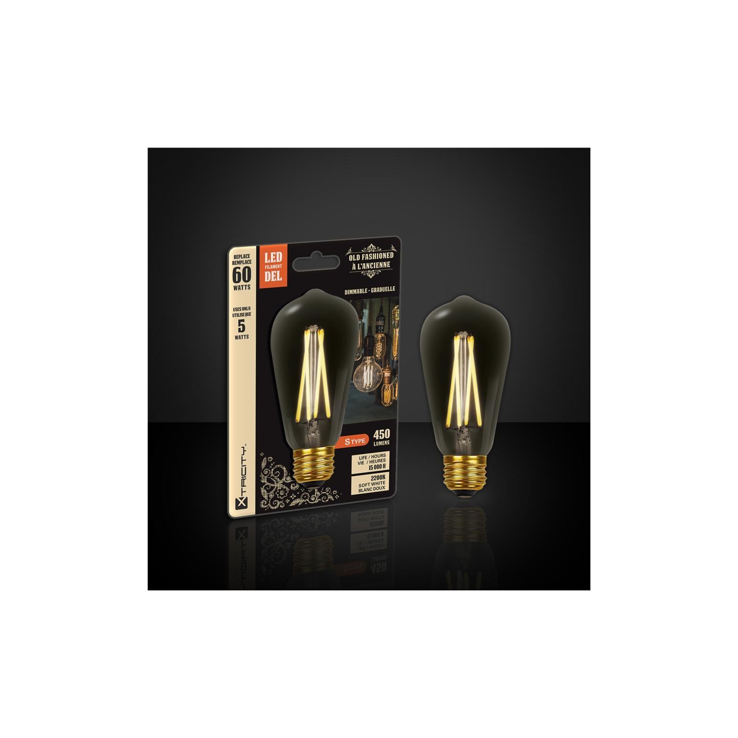 Xtricity - Ampoule DEL Style à l'ancienne, 5W, Type-S, 2200K Blanc Doux