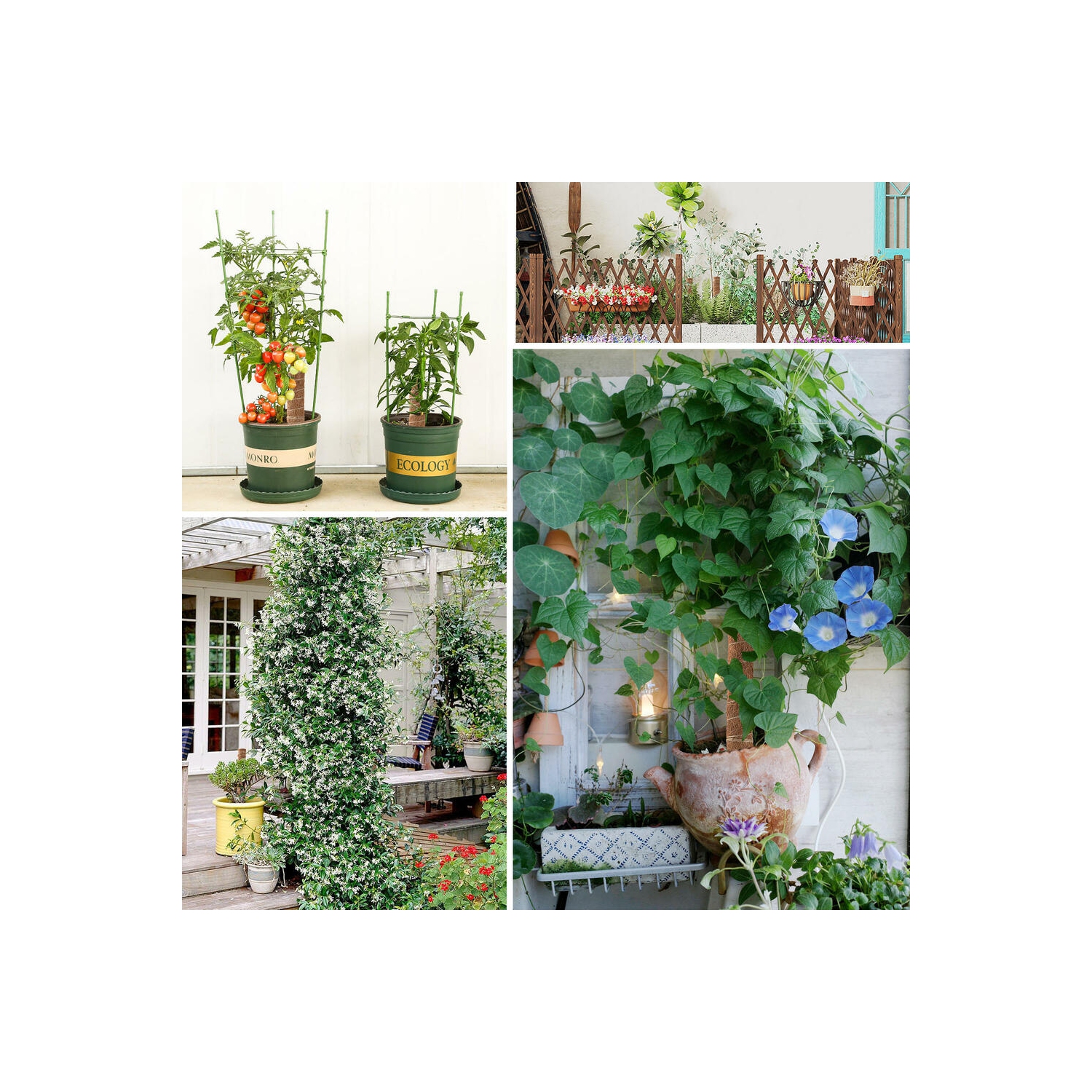 6 Pcs Moss Pole Plant Support 15.7 Inch and 12 Inch, Coir Totem Moss Pole for Climbing Plants