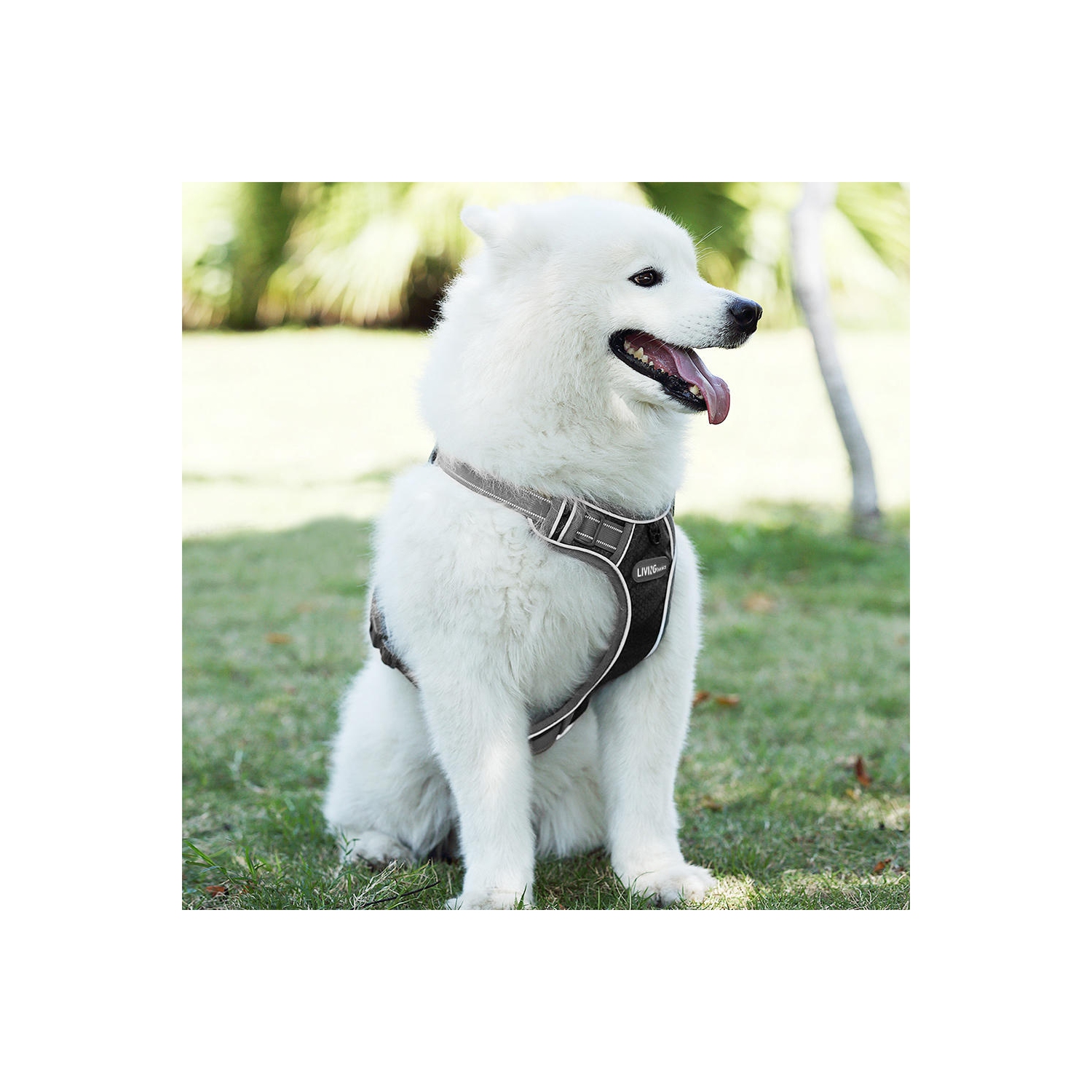 Dog Harness No-Pull Harness Adjustable Outdoor 3M Reflective Oxford Material Vest,XL - LIVINGbasics™