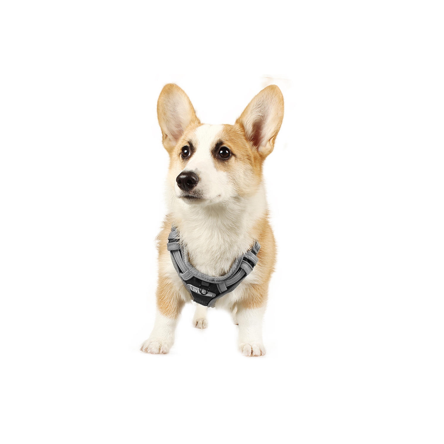 Dog Harness No-Pull Harness Adjustable Outdoor 3M Reflective Oxford Material Vest,XL - LIVINGbasics™