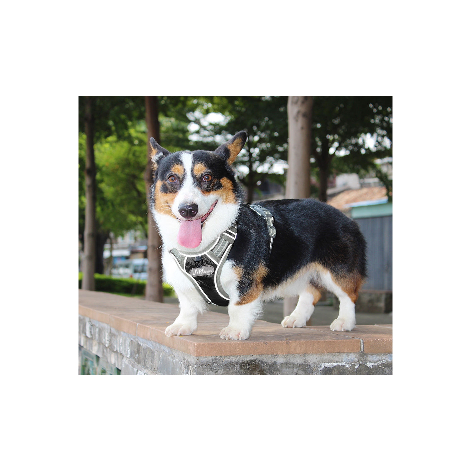 Dog Harness No-Pull Harness Adjustable Outdoor 3M Reflective Oxford Material Vest,XL - LIVINGbasics™