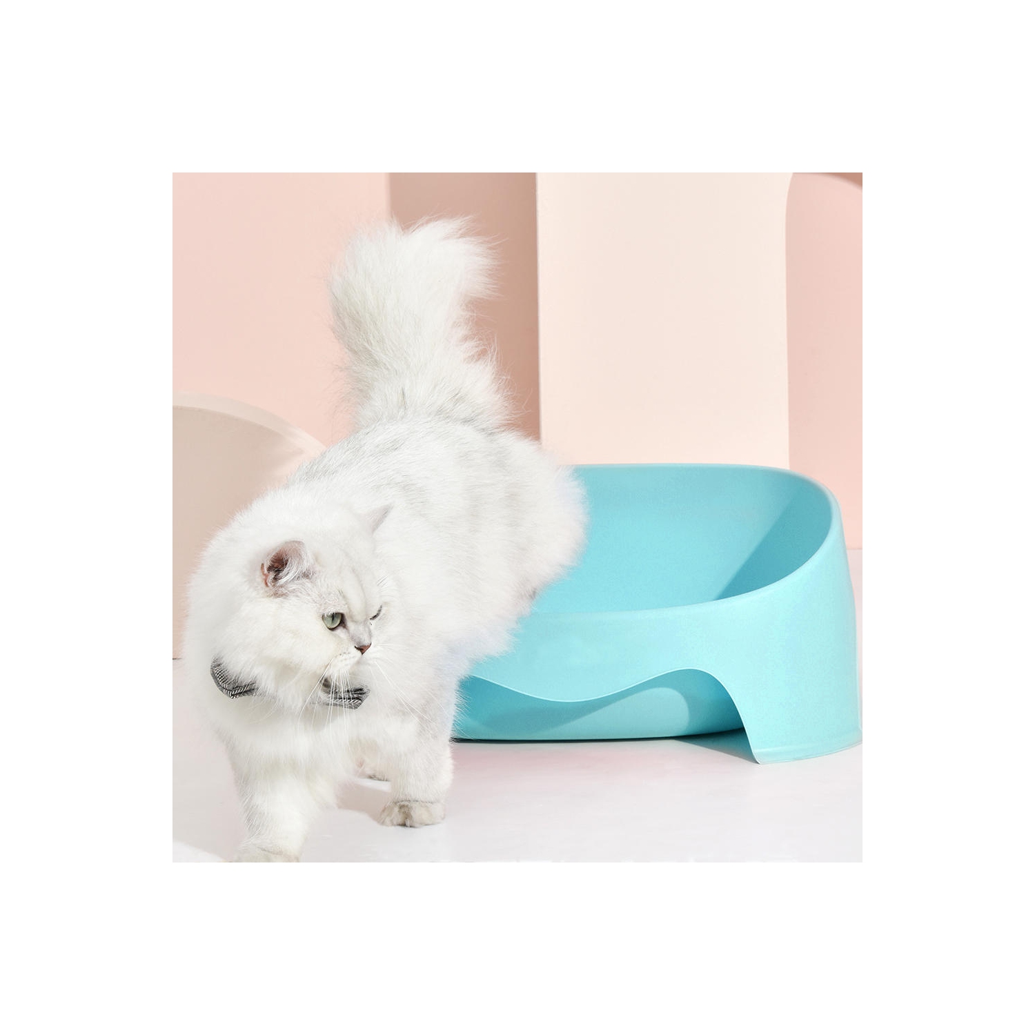 Bac à litière en plastique coloré écologique et durable pour chats bac à litière pour chats