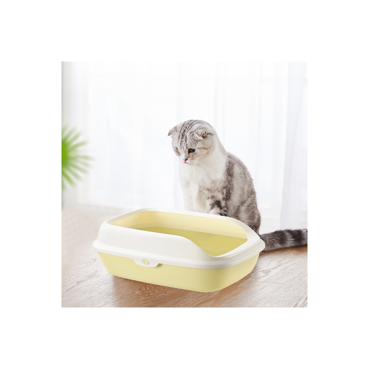 Strong Material Cat Toilet open Cat Litter Box Cat Litter Tray Matcha