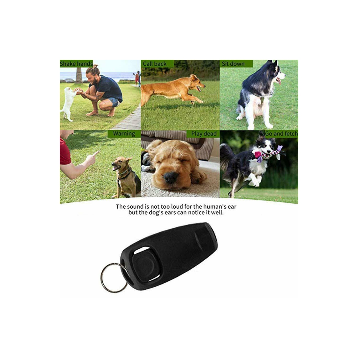 Dog Puppy Clicker and Whistle Training, Train Your Pet Dogs in Obedience