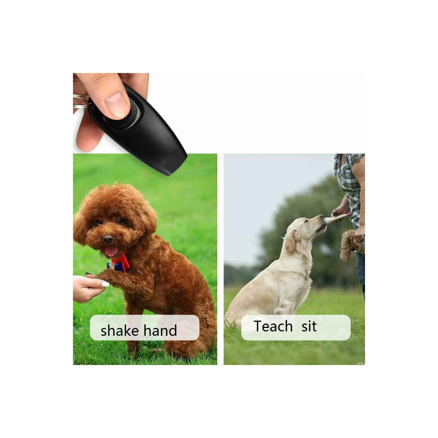 Dog Puppy Clicker and Whistle Training, Train Your Pet Dogs in Obedience