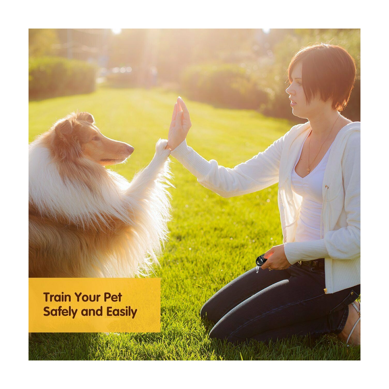 Dog Puppy Clicker and Whistle Training, Train Your Pet Dogs in Obedience