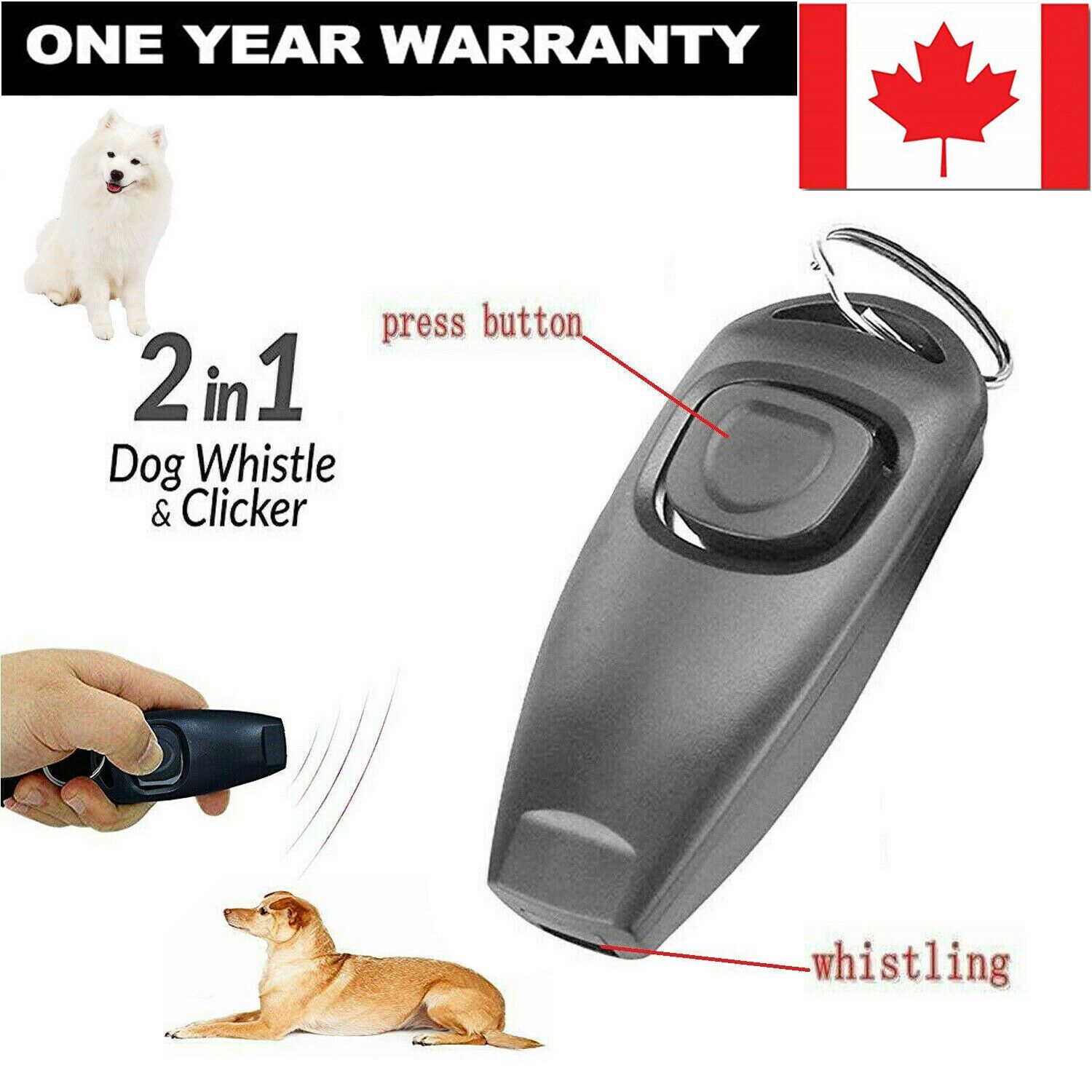 Dog Puppy Clicker and Whistle Training, Train Your Pet Dogs in Obedience
