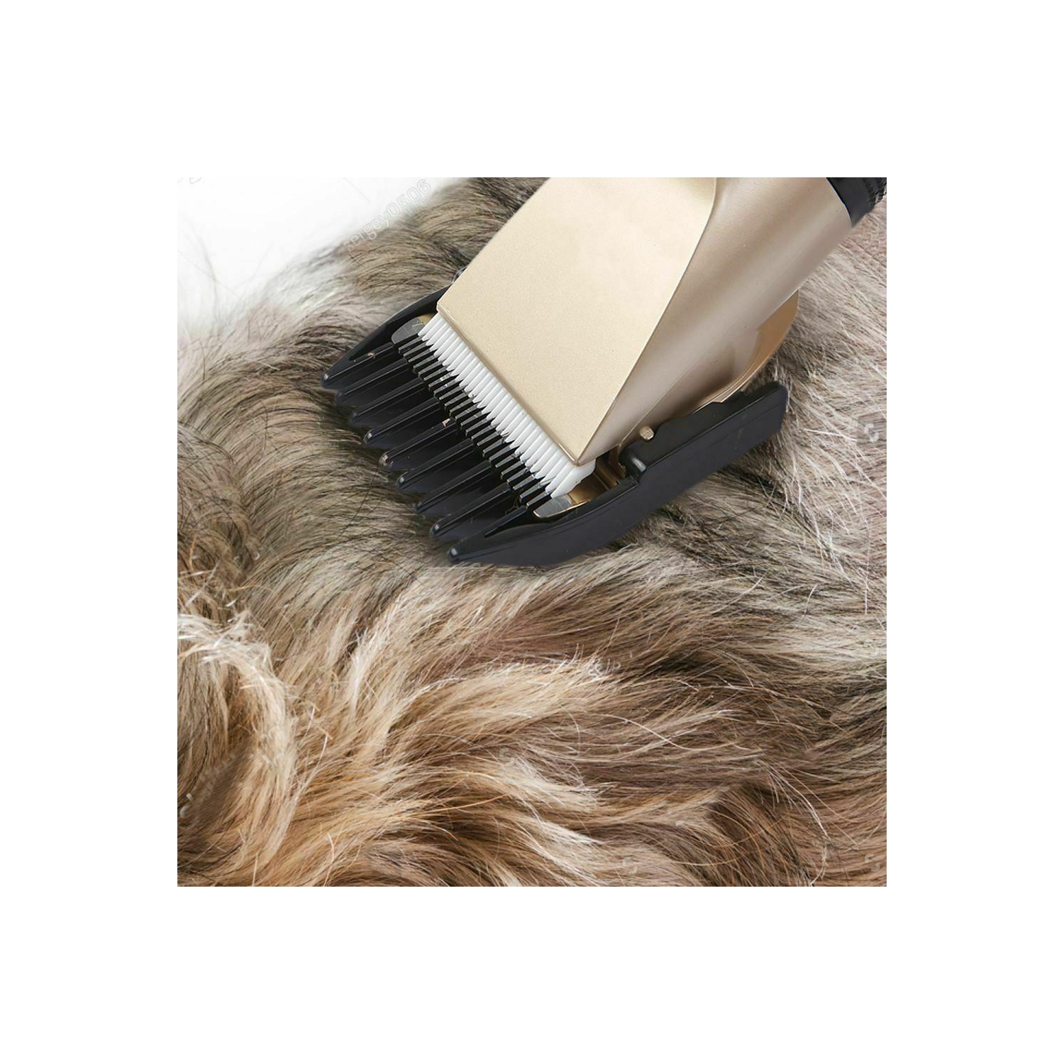 Tondeuse rechargeable pour poils d’animaux tondeuse compacte pour poils d’animaux