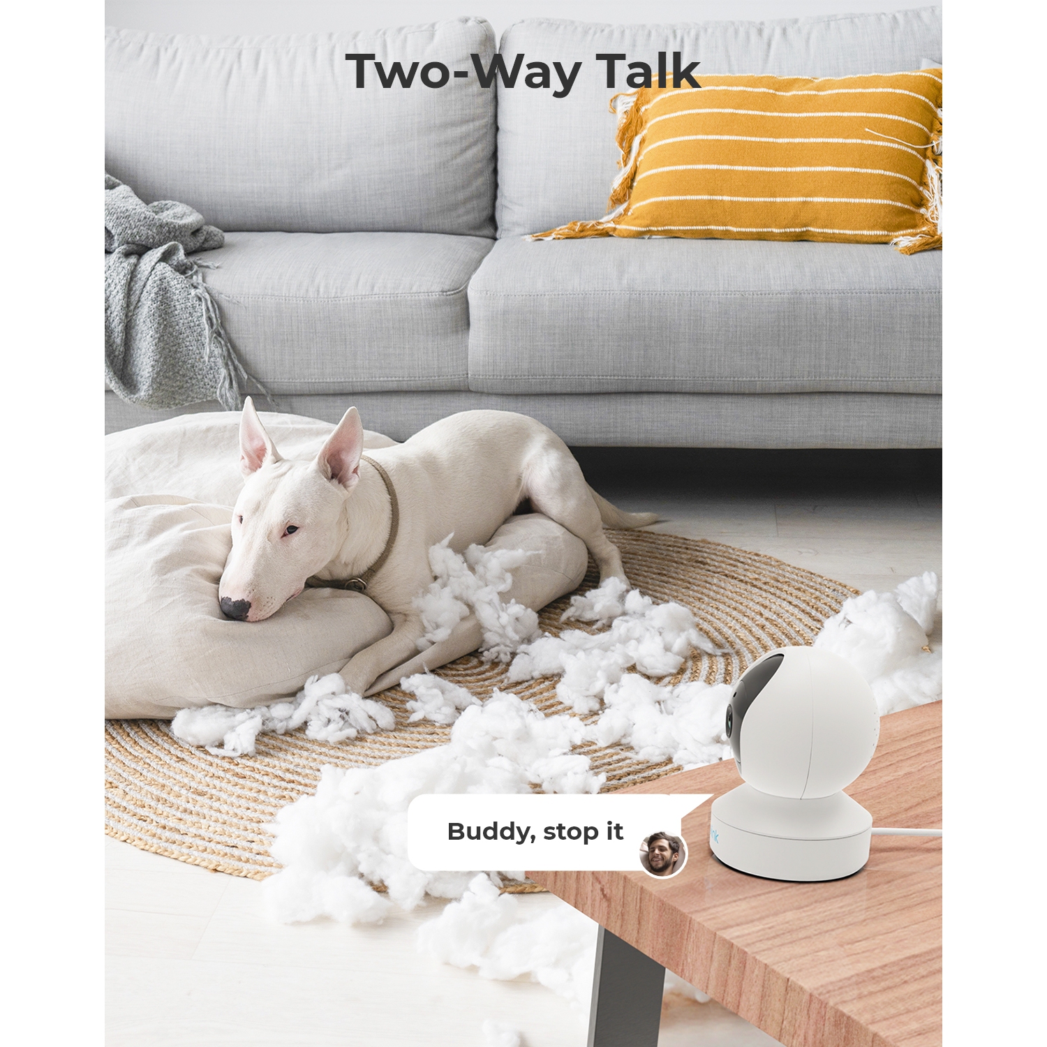 Caméra de surveillance intérieure Wi-Fi PT 2K de Reolink, détection de personne/animal et suivi automatique, Wi-Fi bibande 2,4/5 GHz, audio