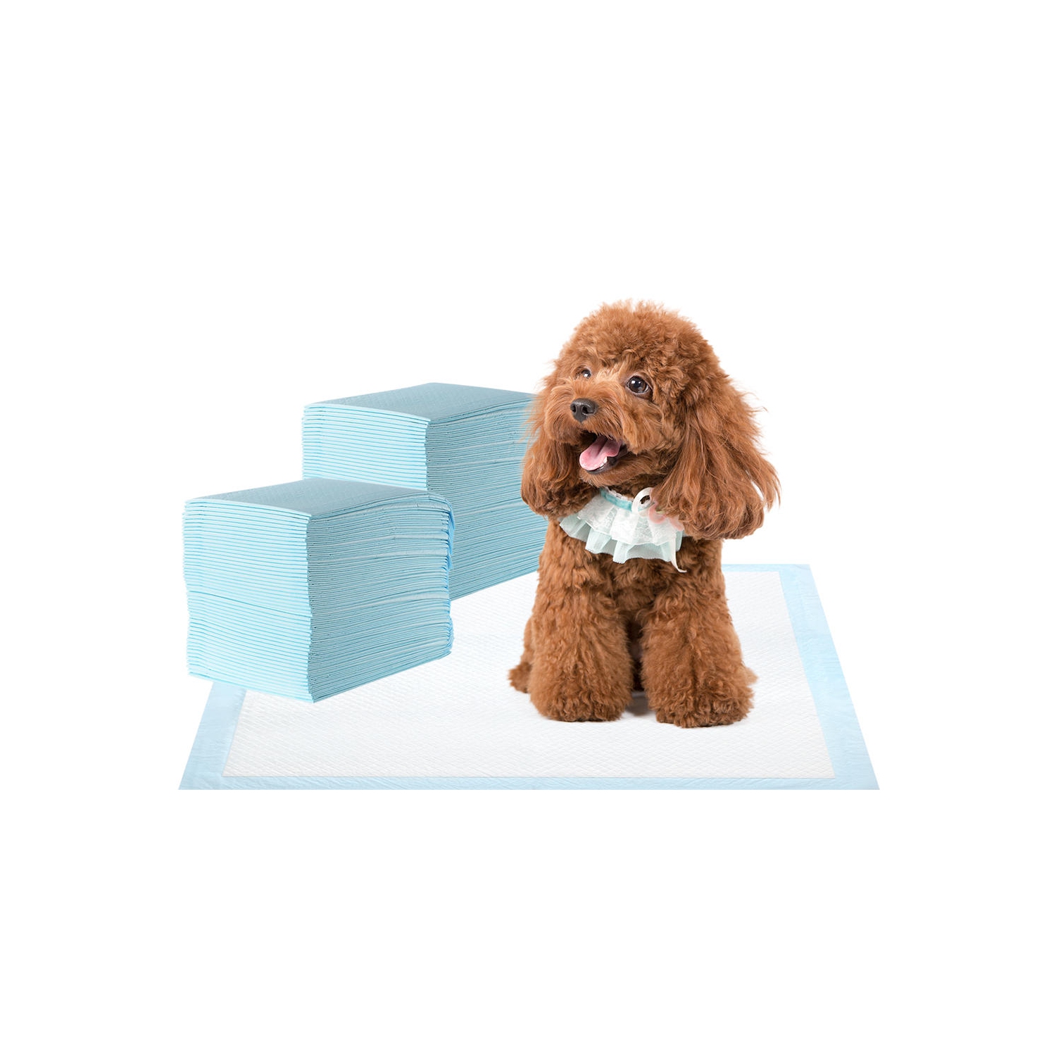 Tapis de dressage imperméable super absorbant pour chien et chiot, tapis de dressage pour animaux de compagnie Housebreaking-LIVINGbasics