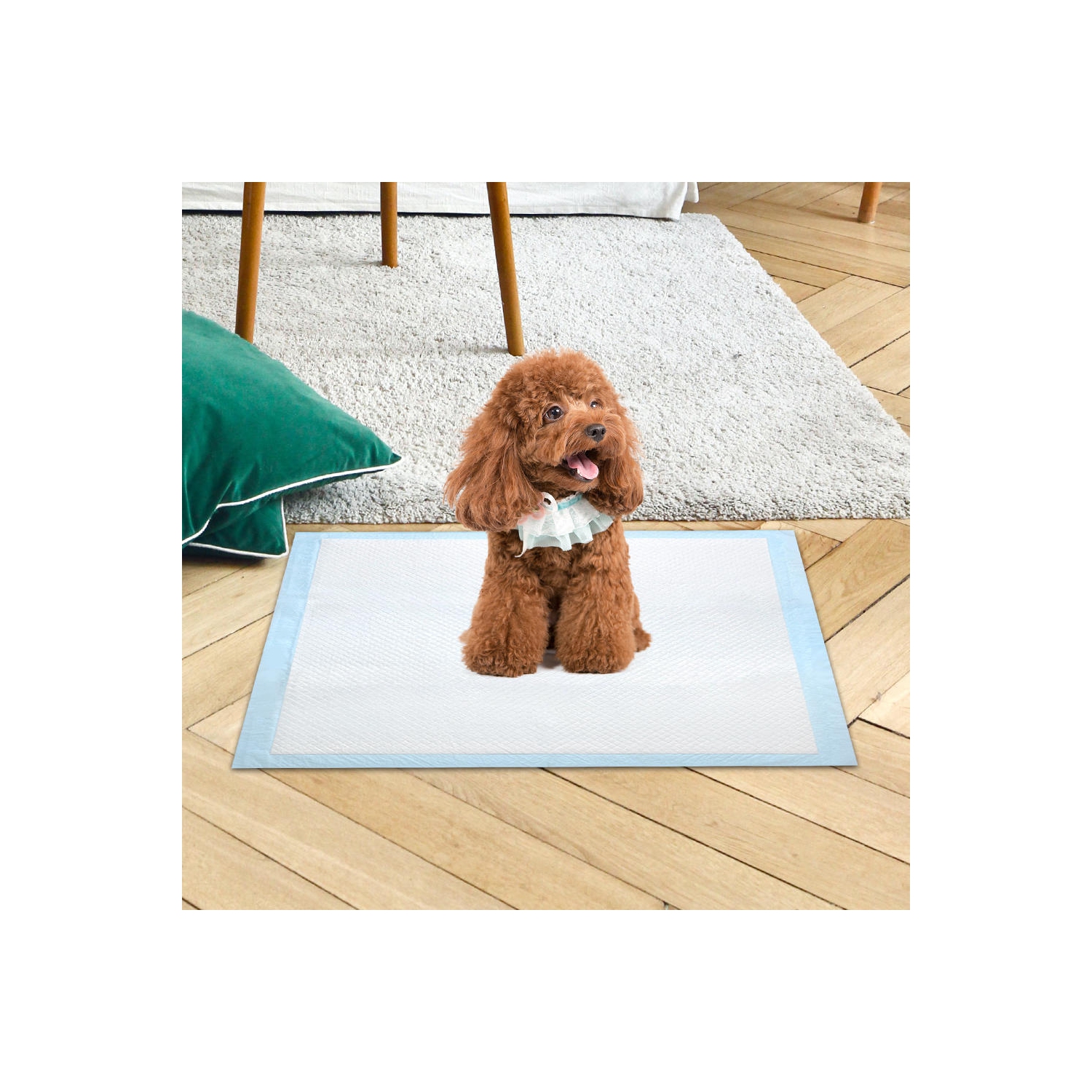 Tapis de dressage imperméable super absorbant pour chien et chiot, tapis de dressage pour animaux de compagnie Housebreaking-LIVINGbasics
