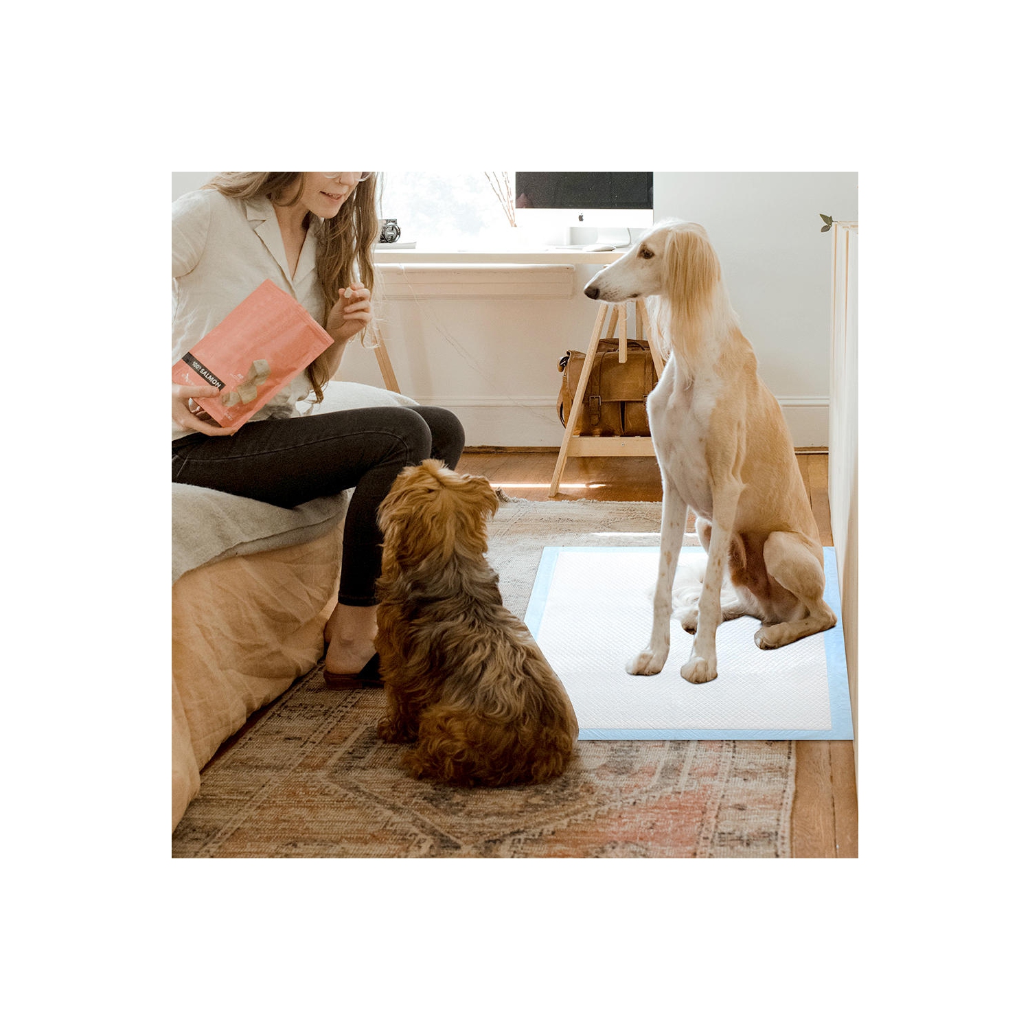 Tapis de dressage imperméable super absorbant pour chien et chiot, tapis de dressage pour animaux de compagnie Housebreaking-LIVINGbasics