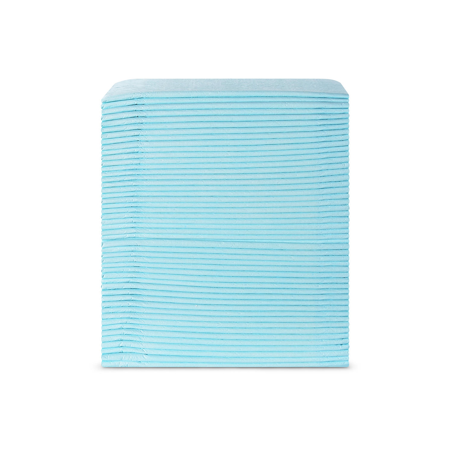 Tapis de dressage imperméable super absorbant pour chien et chiot, tapis de dressage pour animaux de compagnie Housebreaking-LIVINGbasics