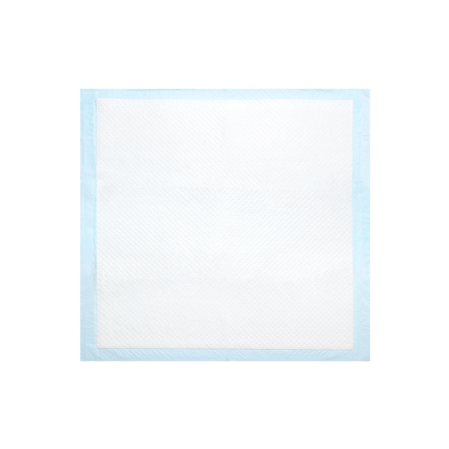 Tapis de dressage imperméable super absorbant pour chien et chiot, tapis de dressage pour animaux de compagnie Housebreaking-LIVINGbasics