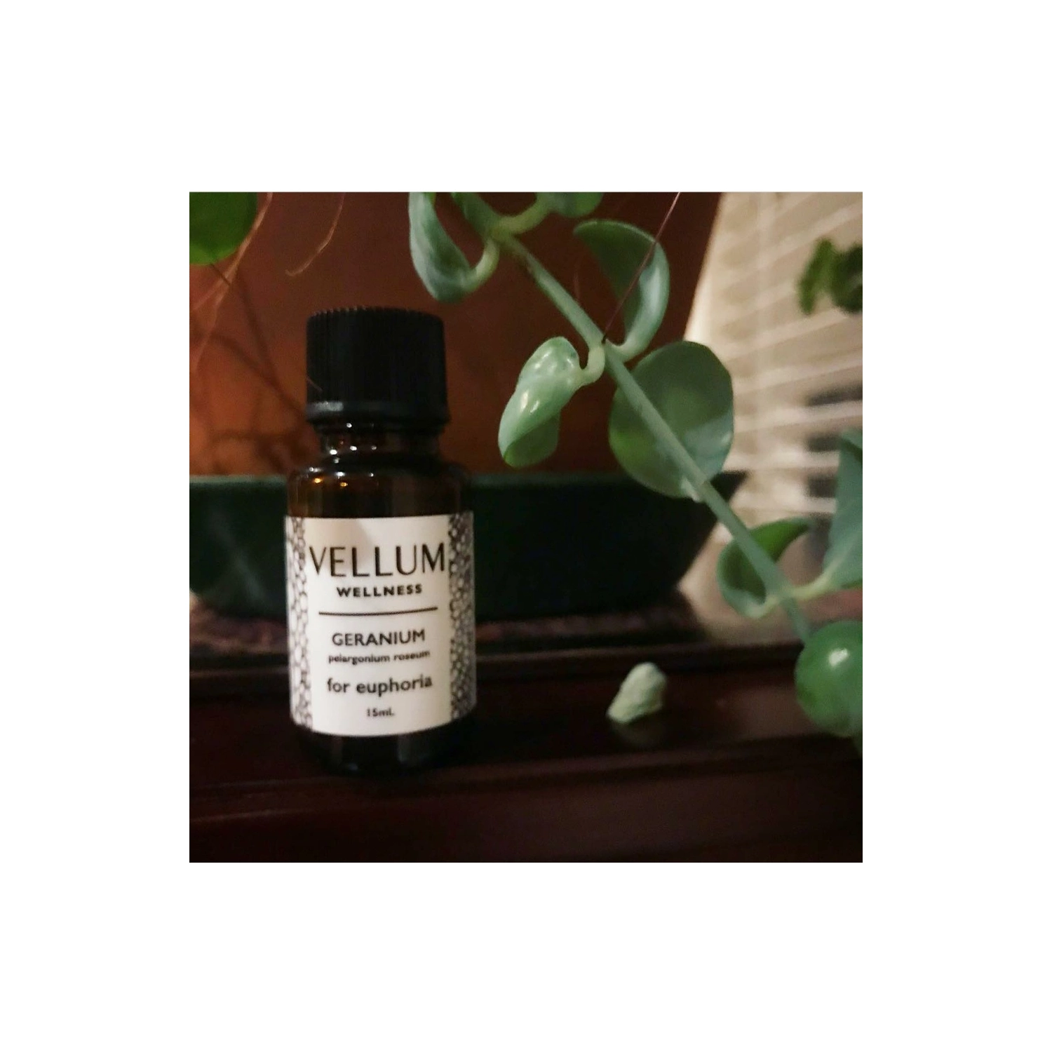 Vellum Wellness – Huile essentielle de géranium pour diffuseurs d'arômes et soins naturels pour la peau