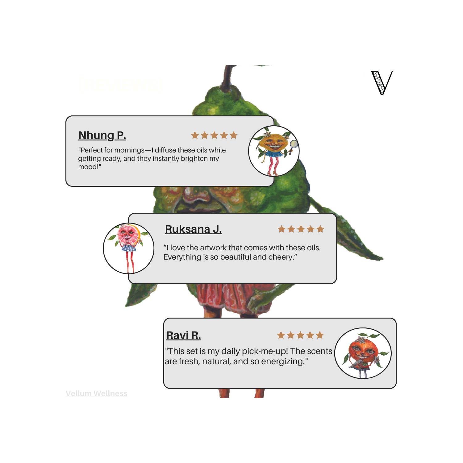 Ensemble d’huile essentielle d’agrumes vellum Wellness